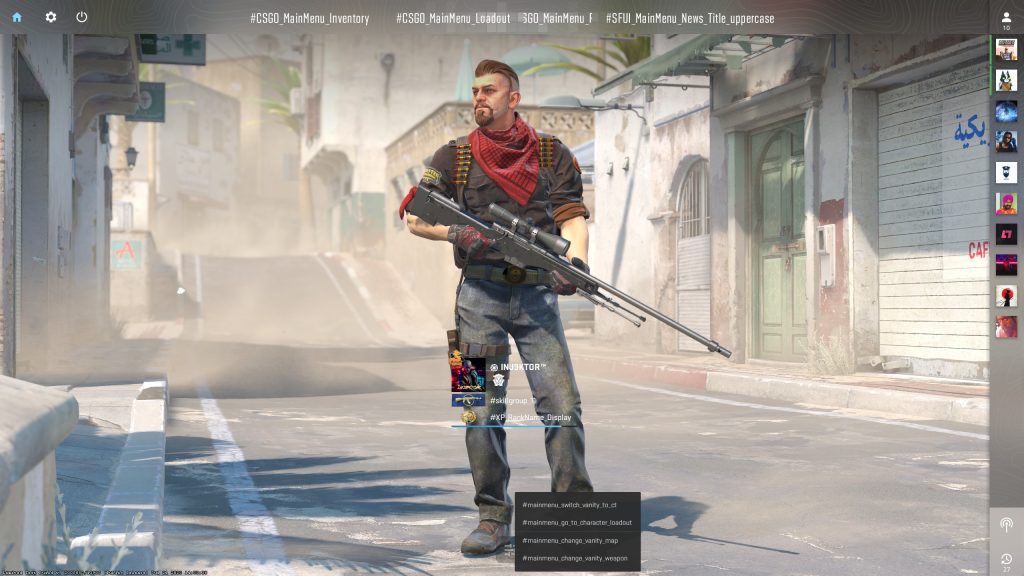 interface – CS2 Guide Player information